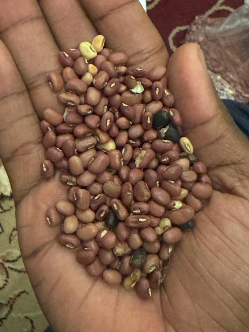 Agricultural Sourcing